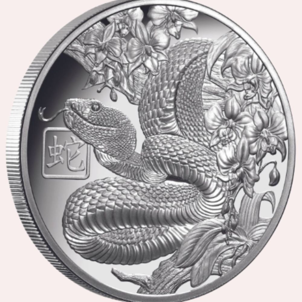 2025-Lunar-Year-of-the-Snake-1-Silver-Proof-Coin-1oz.jpg